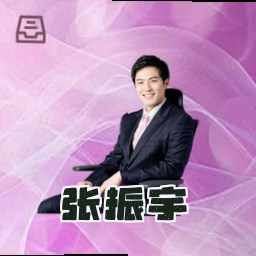 张振宇